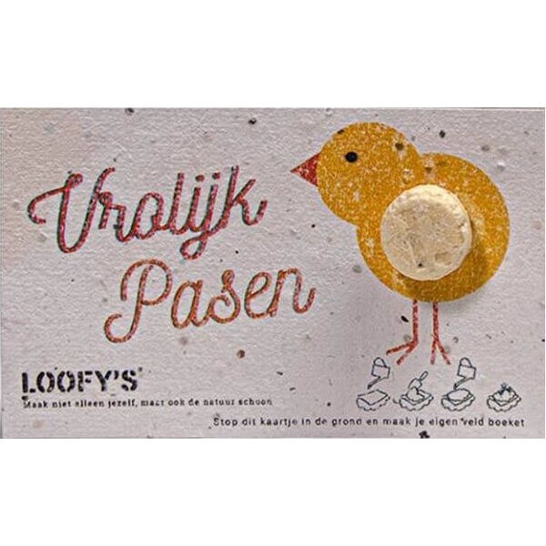 Loofy's plasticvrije verzorgingsproducten