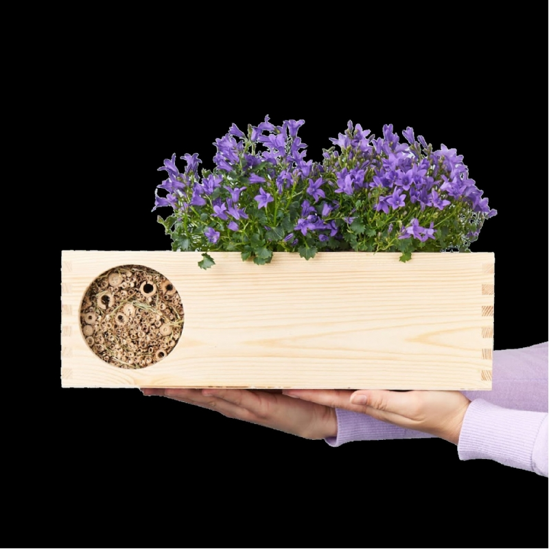 Planten in een box