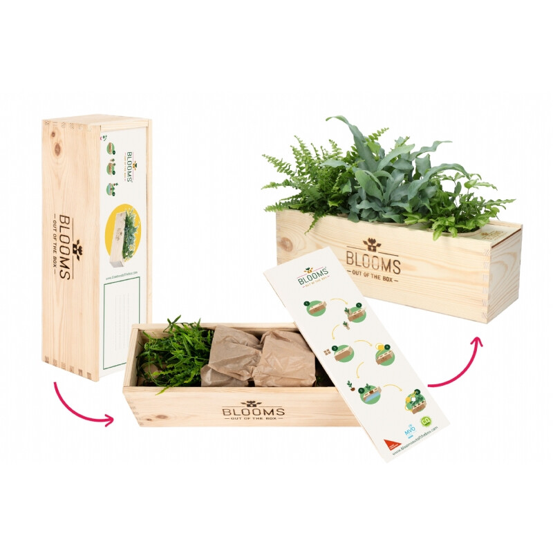 Planten in een box