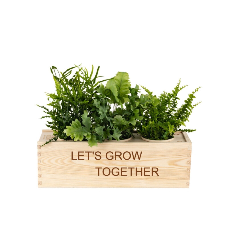 Planten in een box